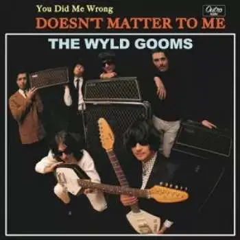 SP The Wyld Gooms: You Did Me Wrong / Doesn't Matter To Me