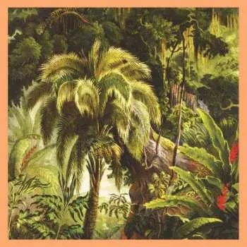 LP Xiu Xiu: La Forêt CLR