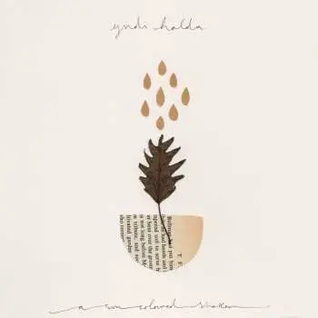LP Yndi Halda: A Sun-Coloured Shaker