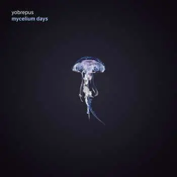 LP Yobrepus: Mycelium Days
