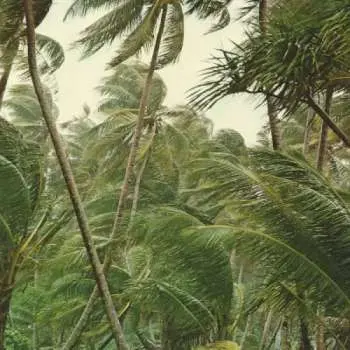 CD Yôkaï: Coup De Grâce