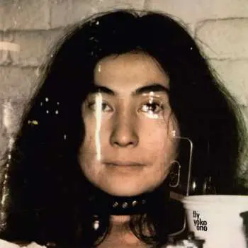 2LP Yoko Ono: Fly