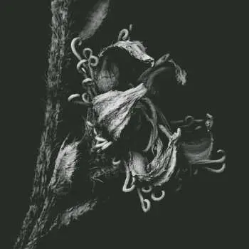 CD Yui Onodera: 1982 LTD