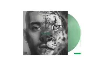 Zayn: Konnakol LP