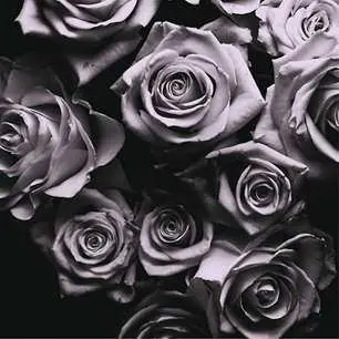 3LP Zomby: With Love DLX