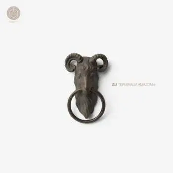 2LP Zu: Terminalia Amazonia LTD | CLR