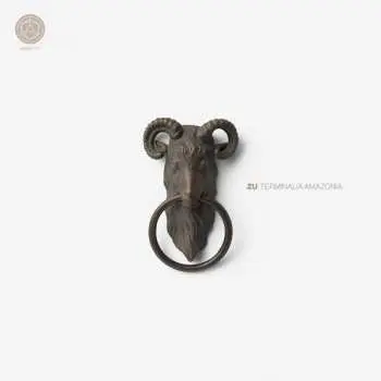 CD Zu: Terminalia Amazonia