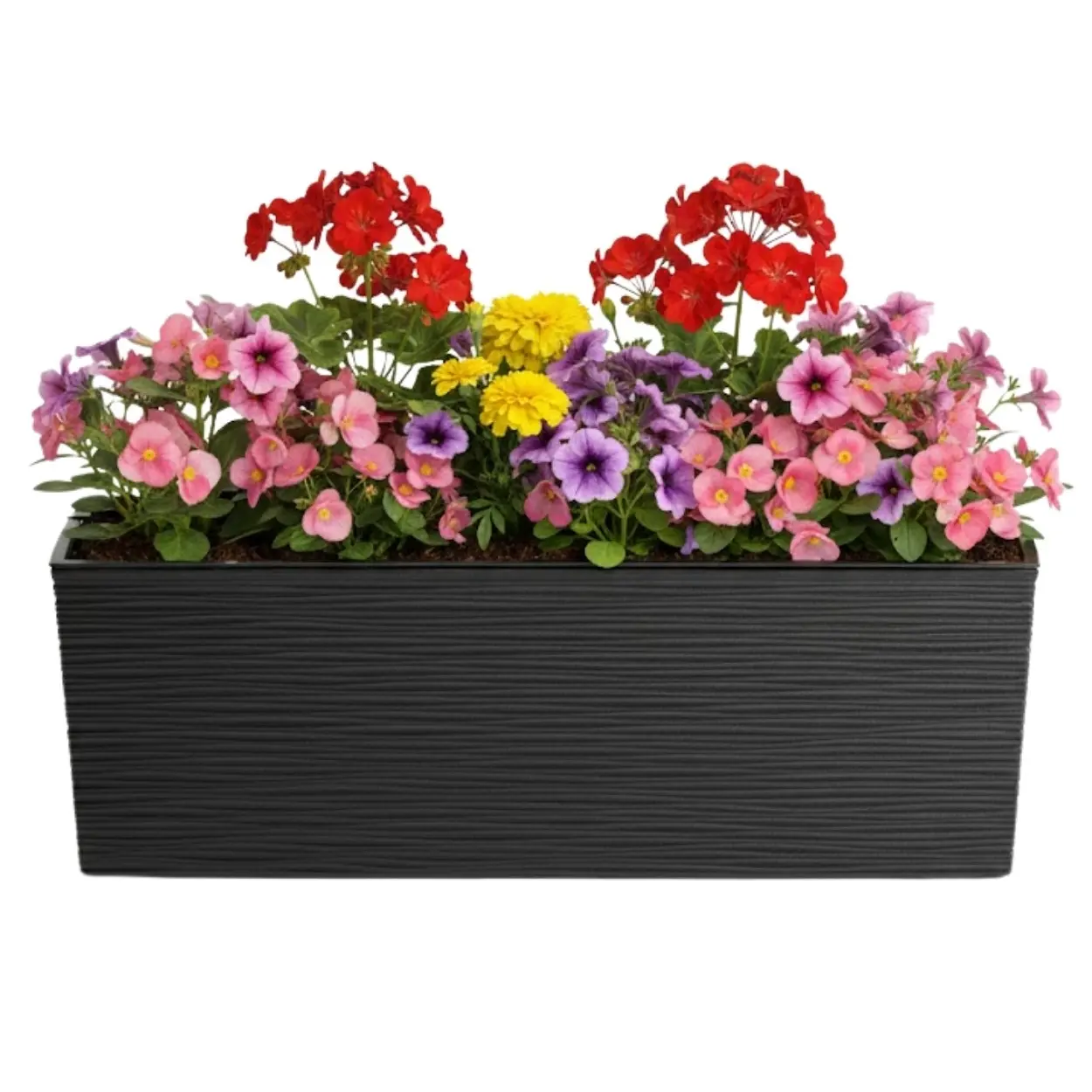 HowHomely Plastový květináč Bouquet Riflo 56x19 cm černý