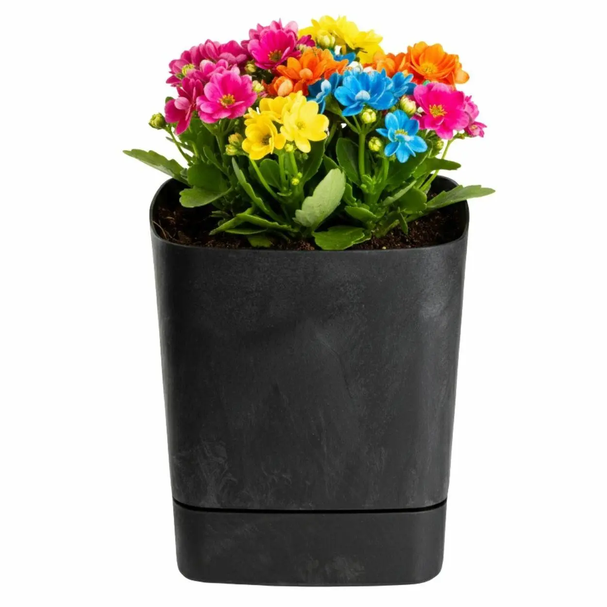 HowHomely Plastový květináč s podmiskou Cubi 19x19 cm černý beton