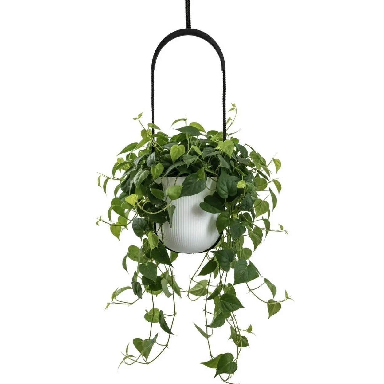 HowHomely Závěsný květináč AERA HANG 17,9 cm bílý