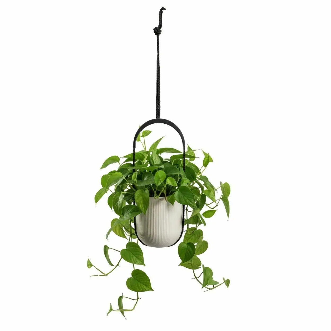 HowHomely Závěsný květináč AERA HANG 17,9 cm béžový
