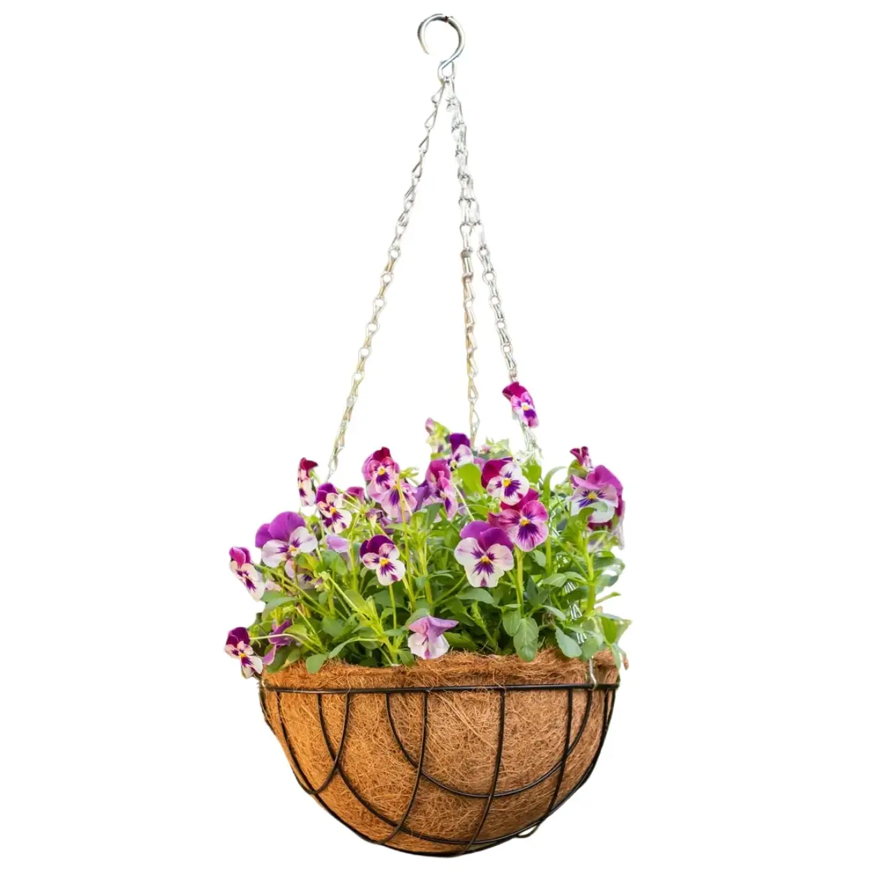Esschert Design Závěsný květináč Sowy 30 cm černý/hnědý