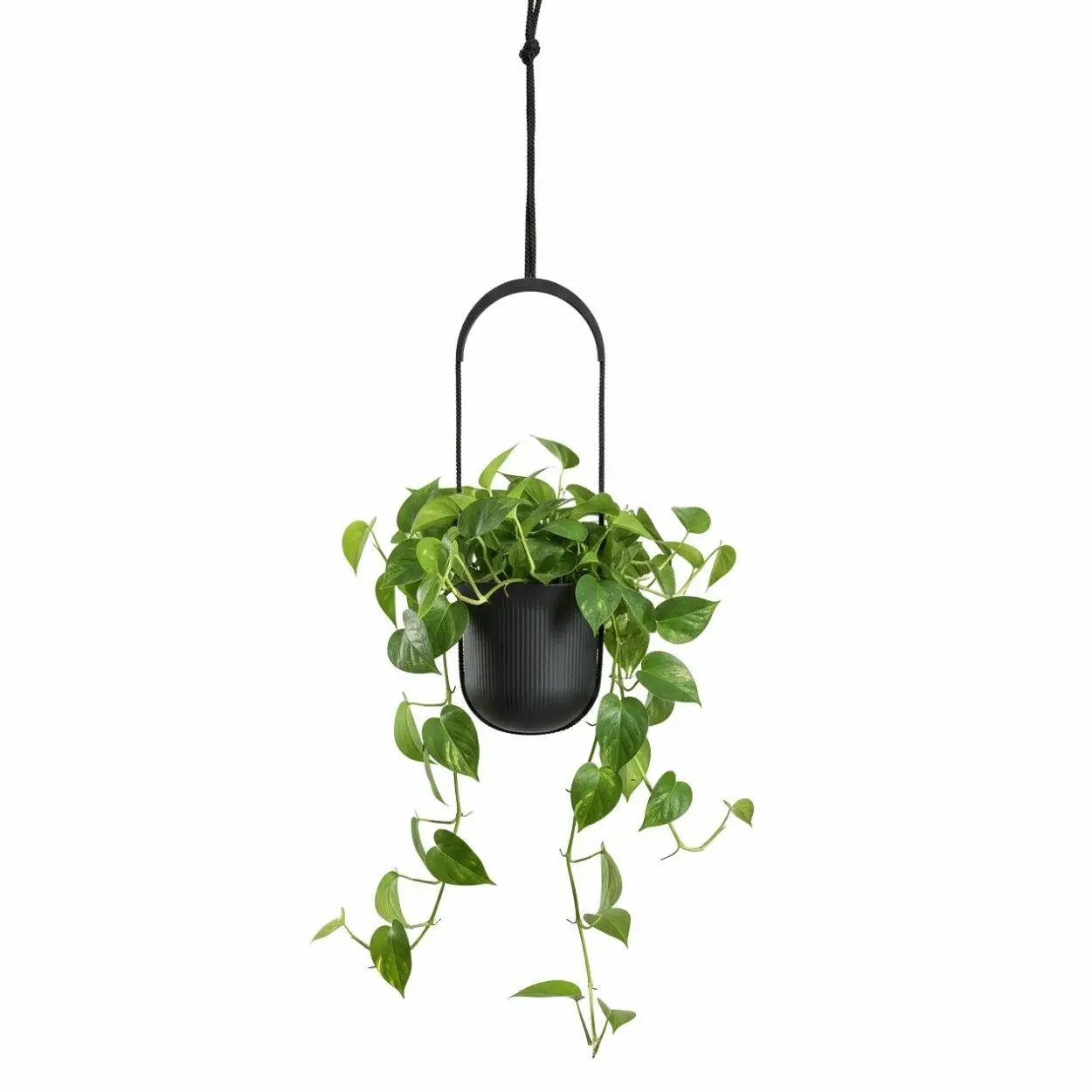 HowHomely Závěsný květináč AERA HANG 17,9 cm antracitový