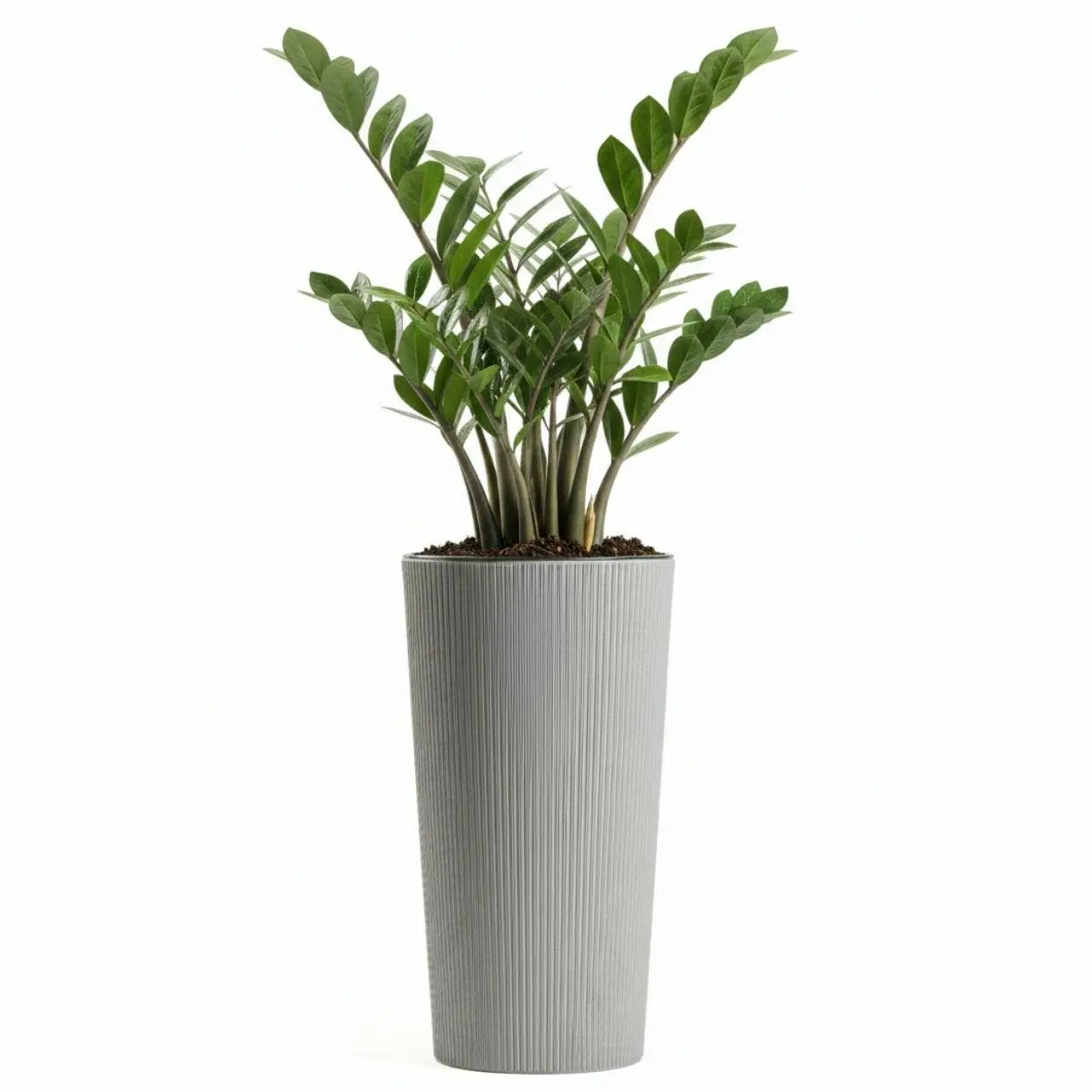 HowHomely Květináč URBANIKA ECO Wood 36,4x19,6 cm šedý