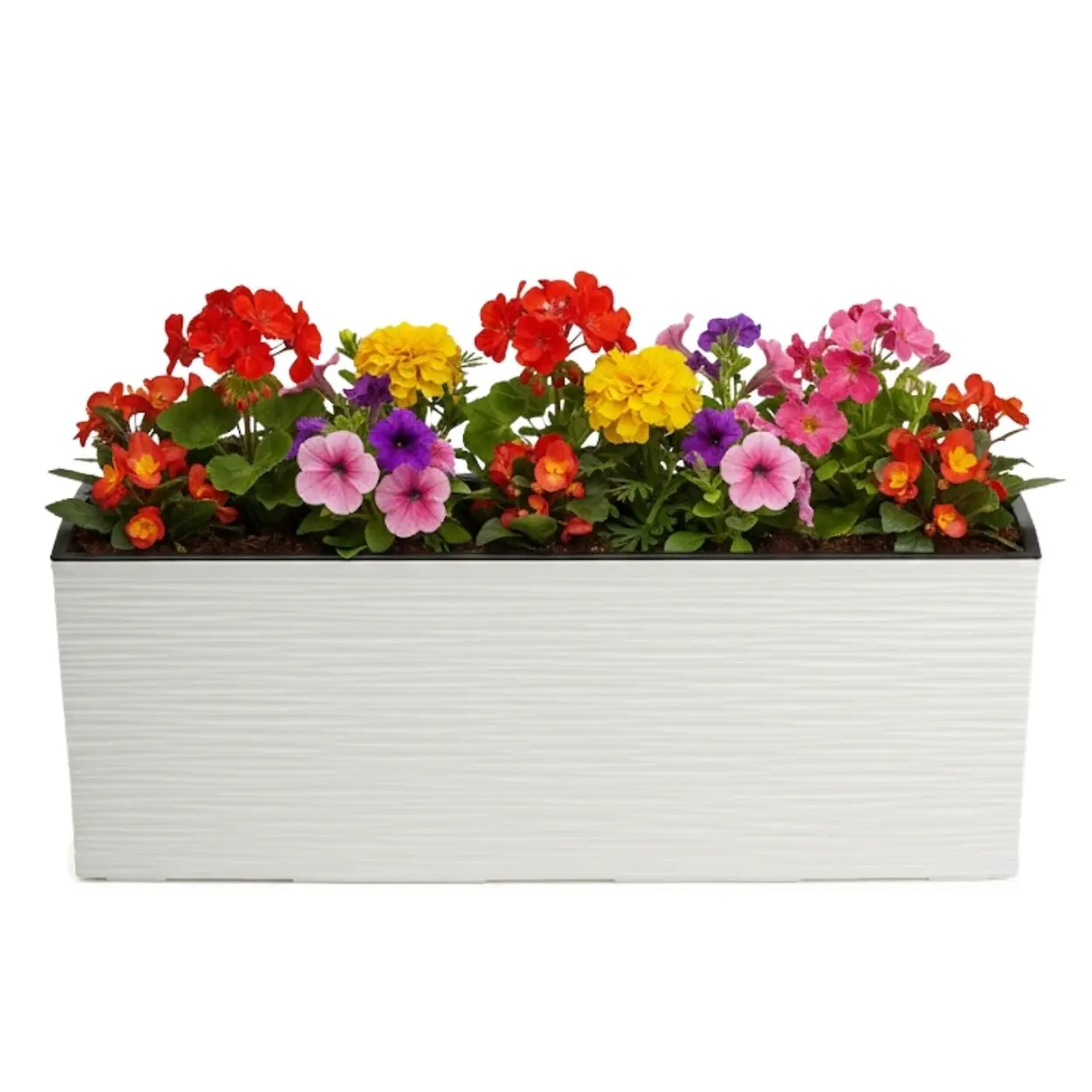 HowHomely Plastový květináč Bouquet Riflo 56x19 cm krémový