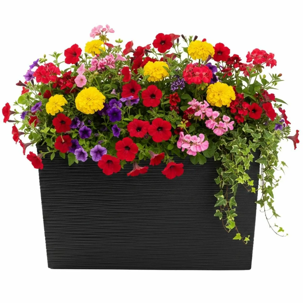 HowHomely Plastový květináč Bloom Riflo 36,2x56,1 cm černý
