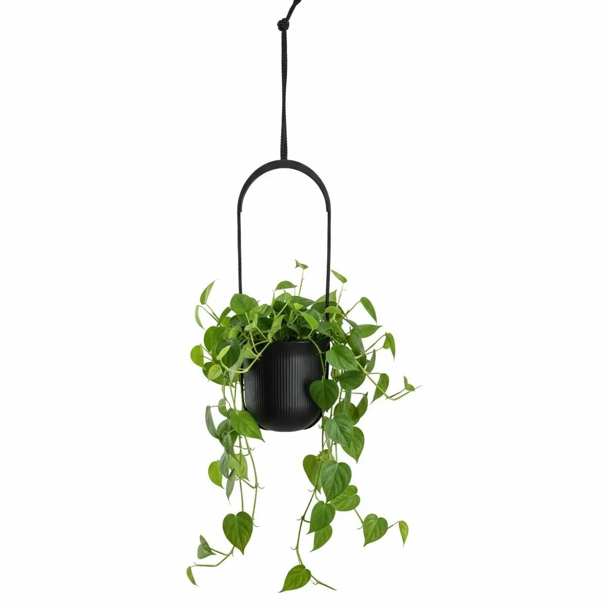 HowHomely Závěsný květináč AERA HANG 17,9 cm černý