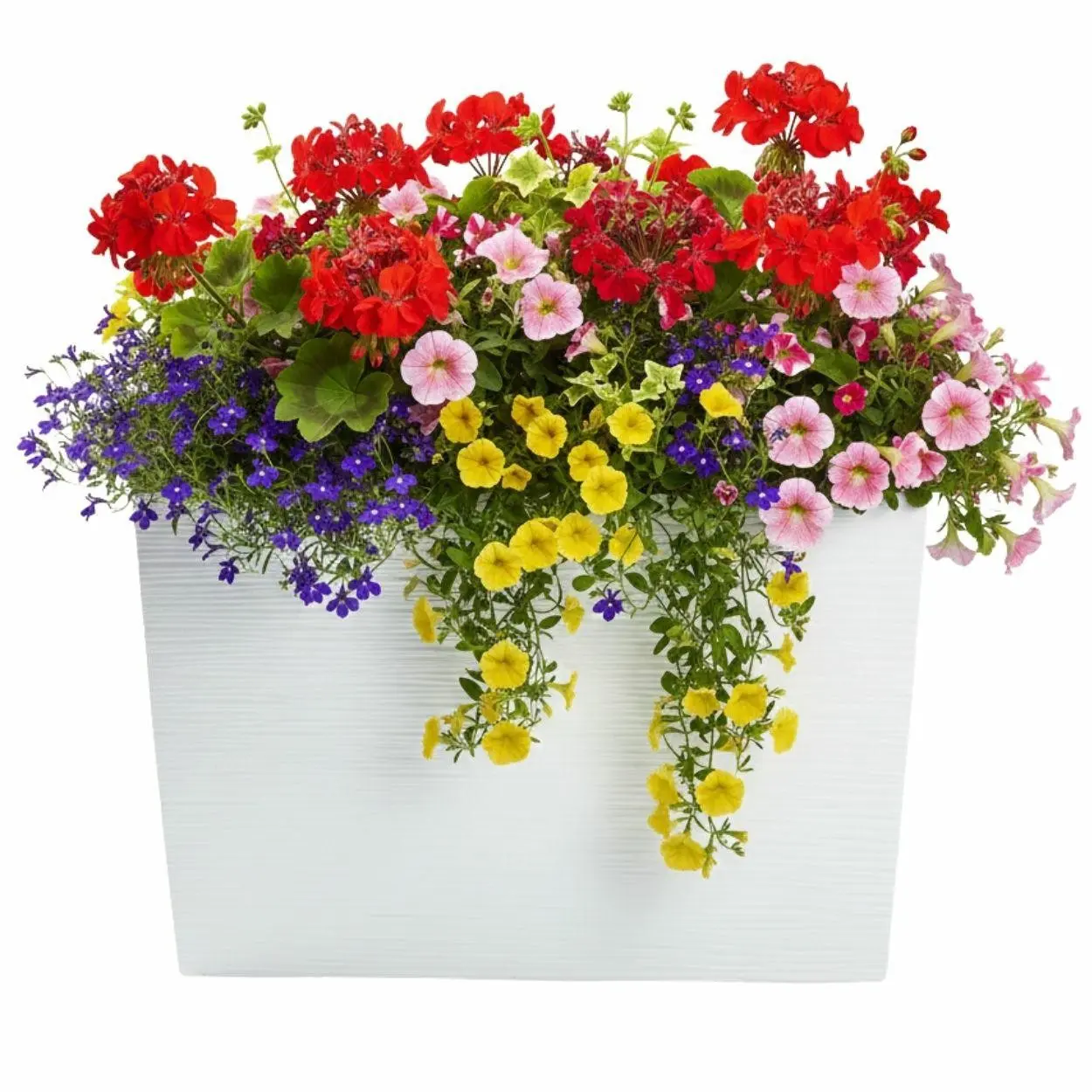 HowHomely Plastový květináč Bloom Riflo 36,2x56,1 cm bílý