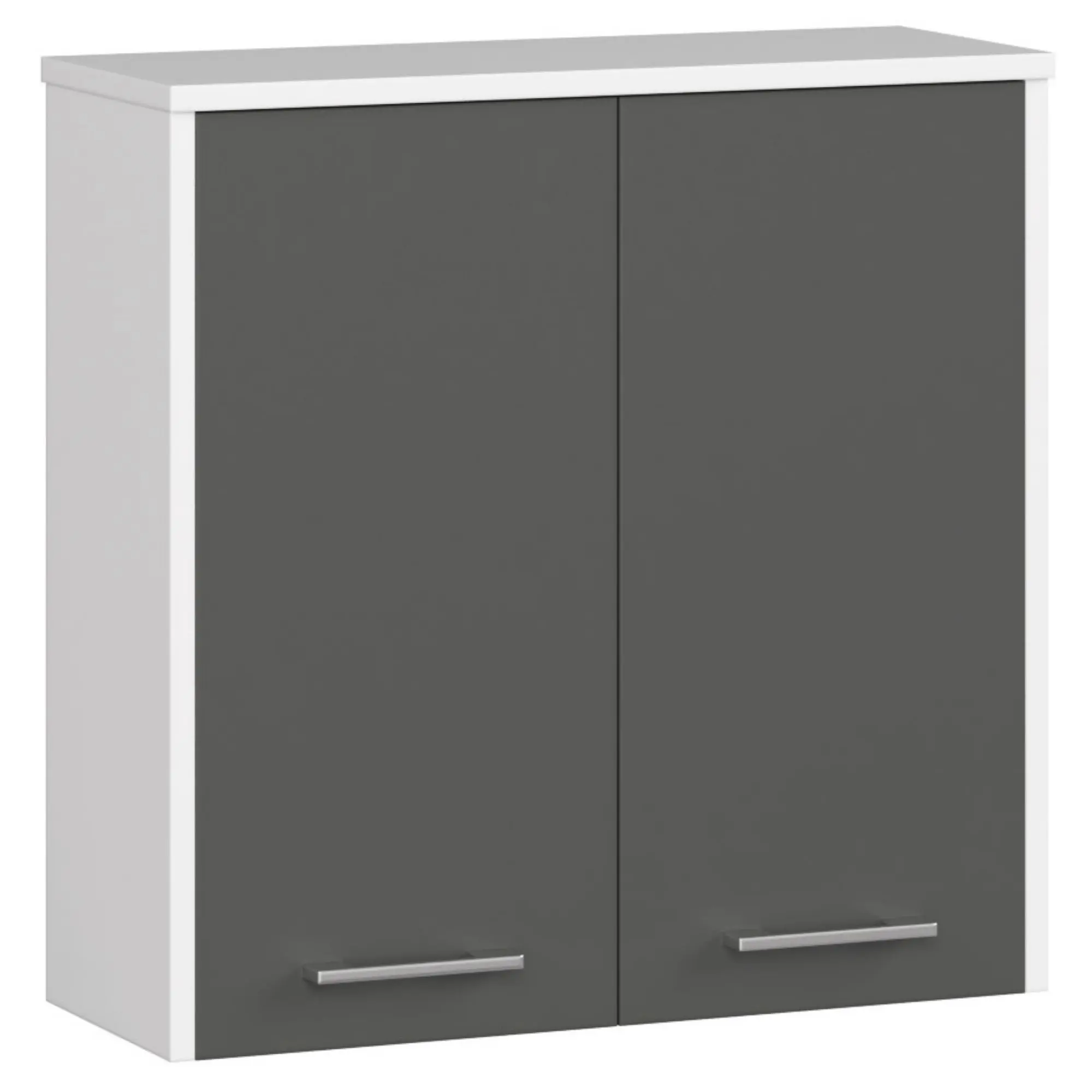 Koupelnová skříňka W 60 cm FIN 2D bílá/šedá