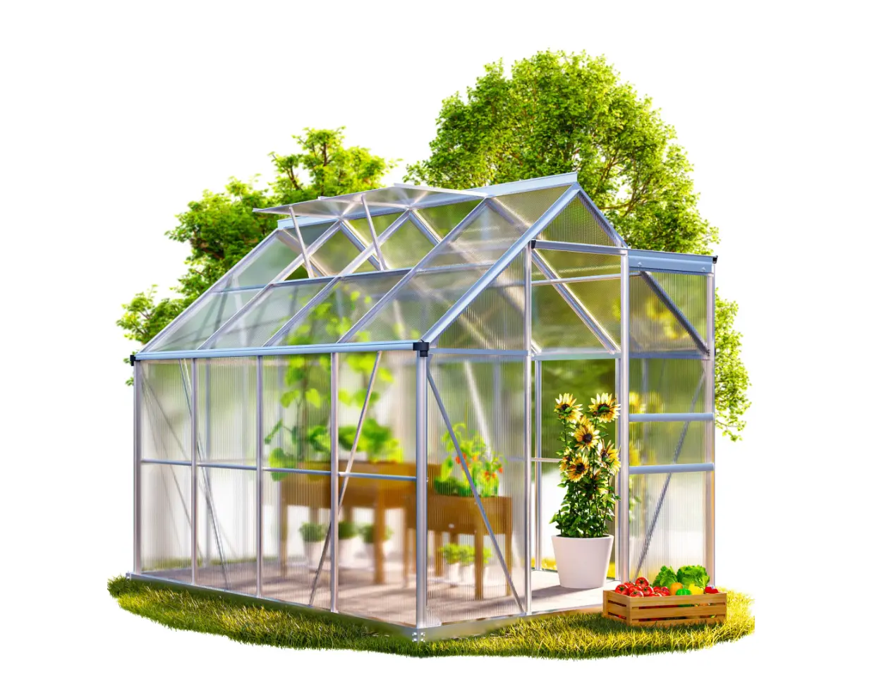 DB Garden Zahradní skleník Dyer se základem a 2 střešními okny 250x190x195 cm stříbrný