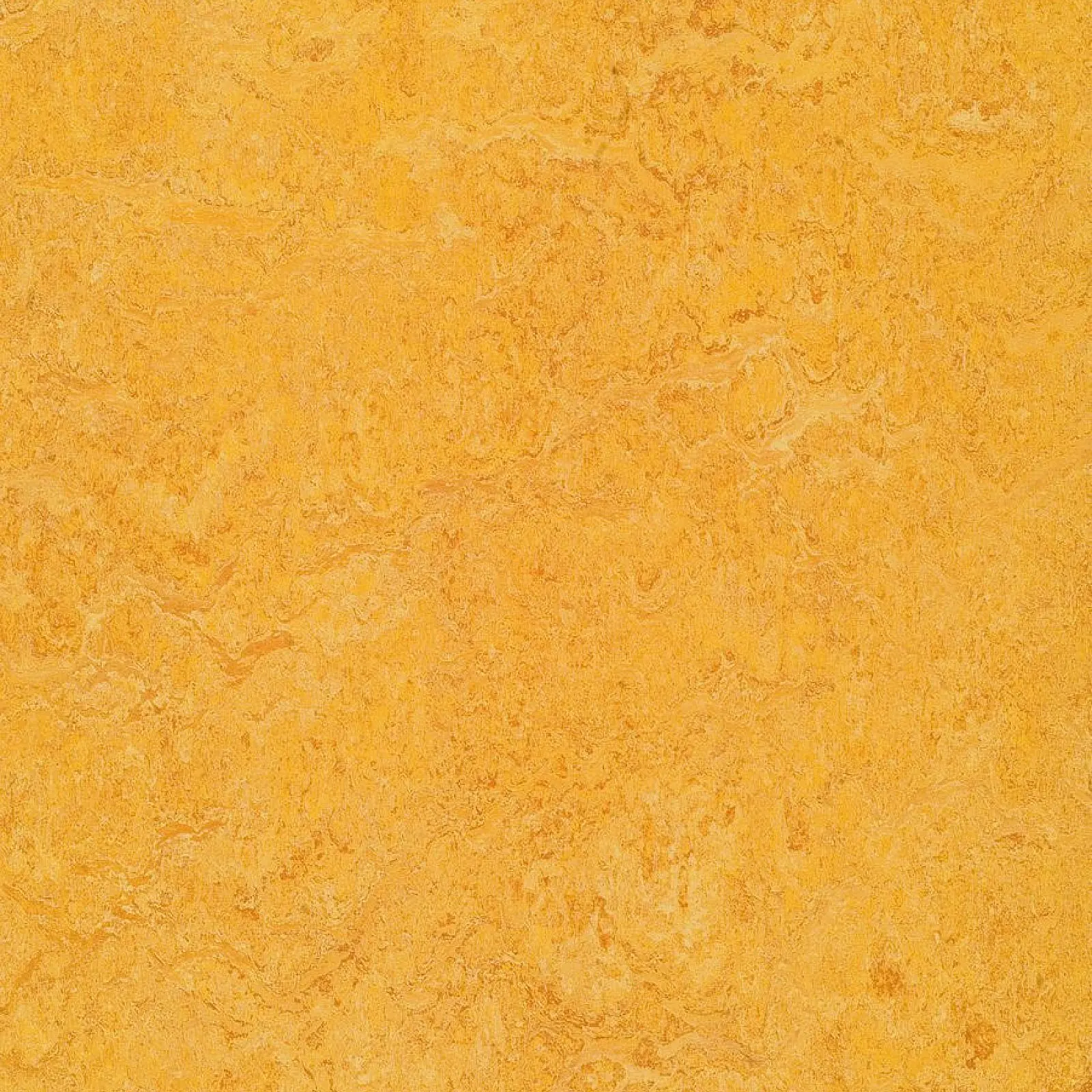 FORBO Marmoleum marbled real Dandelion 3225