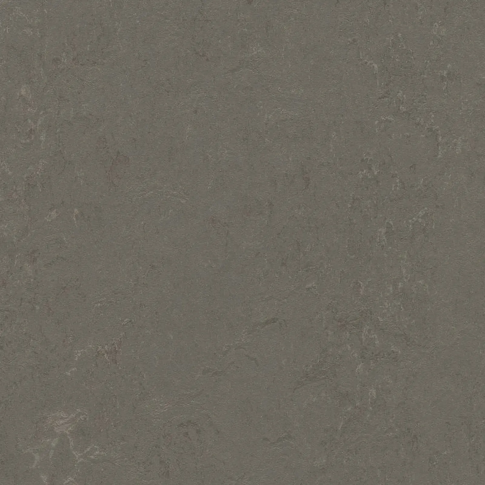 FORBO Marmoleum solid concrete Nebula 3723