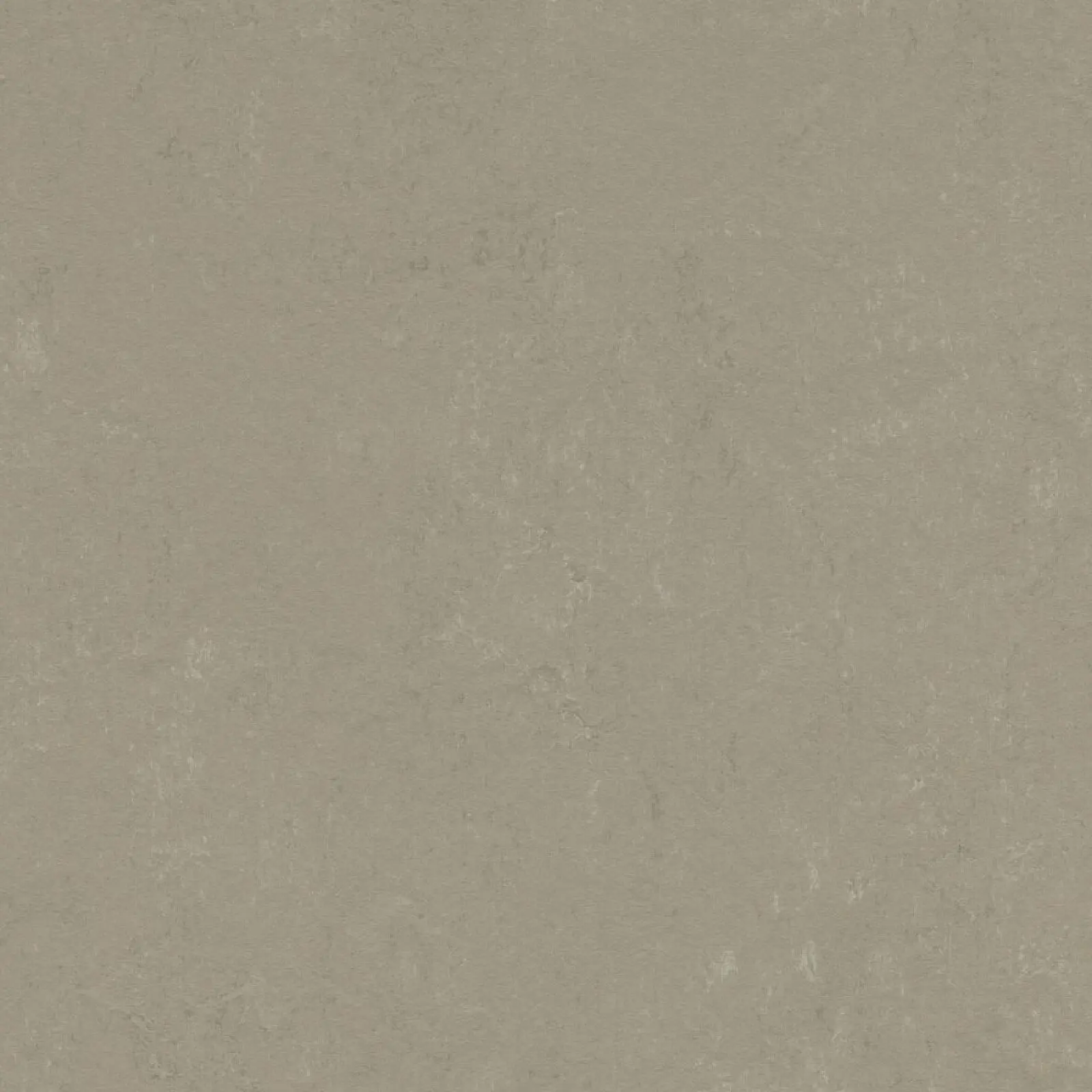 FORBO Marmoleum solid concrete Mercury 3759