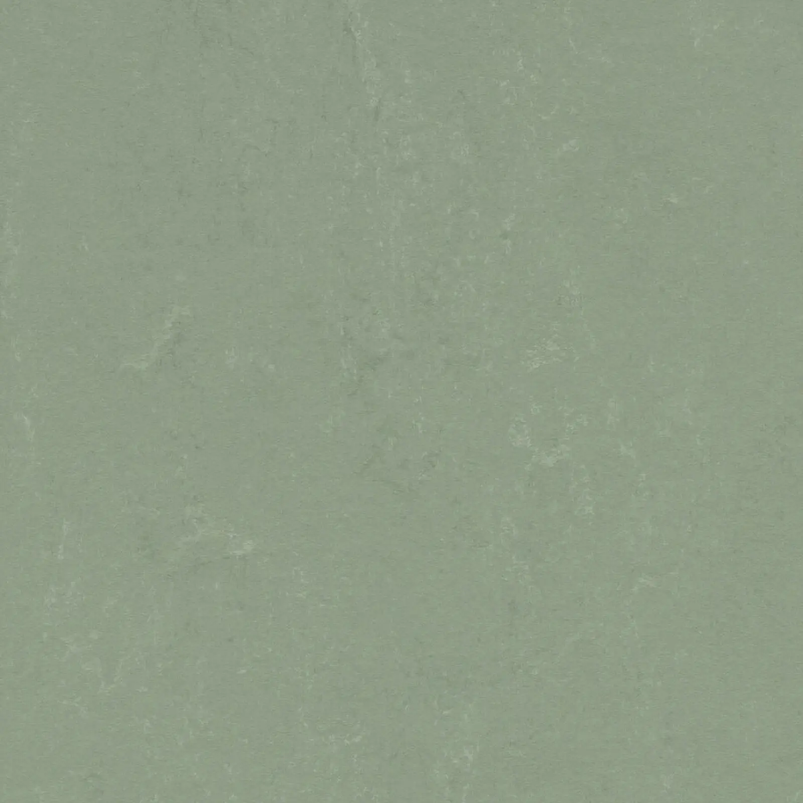 FORBO Marmoleum solid concrete Pine forest 3750