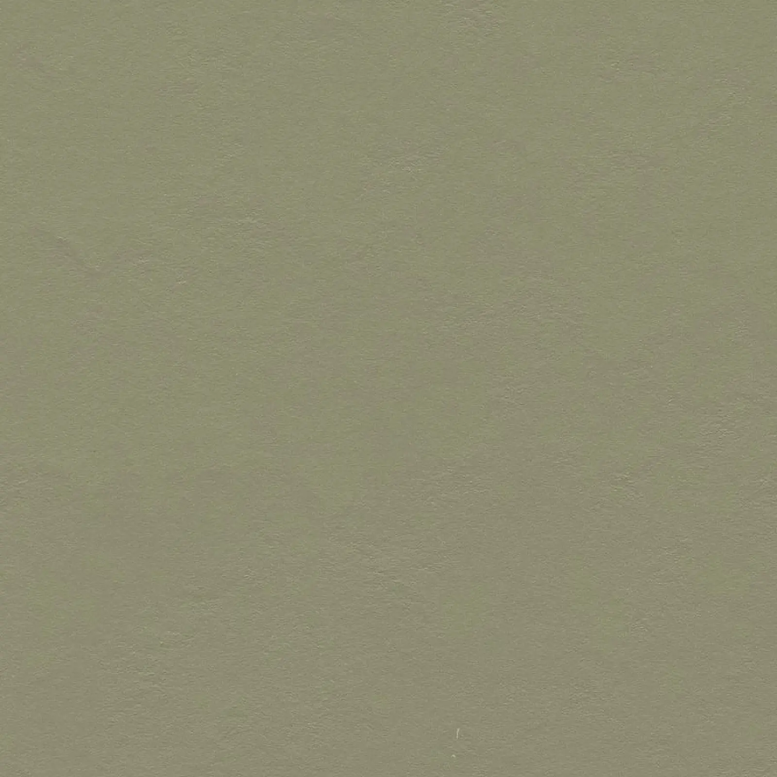 FORBO Marmoleum solid walton Rosemary green 3355