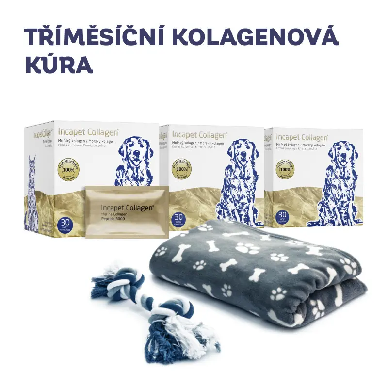 Inca Collagen 3 x 30 sáčků