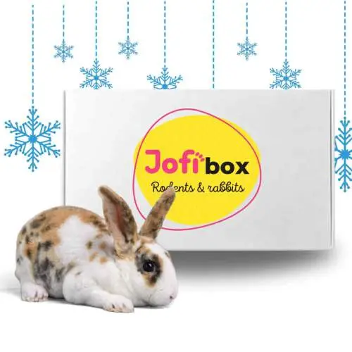Jofi Box hlodavci a králíci, VÁNOCE