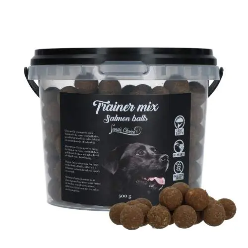 Luna's Choice Trainer Mix Salmon Balls (gluten-free), 500g