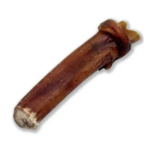 Penis sušený  12cm, 1ks