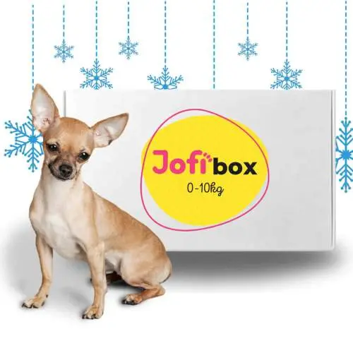 Jofi Box pro malé psy: 0-10kg, VÁNOCE
