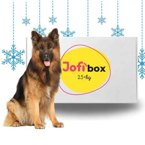 Jofi Box pro velké psy: 25+ kg, VÁNOCE