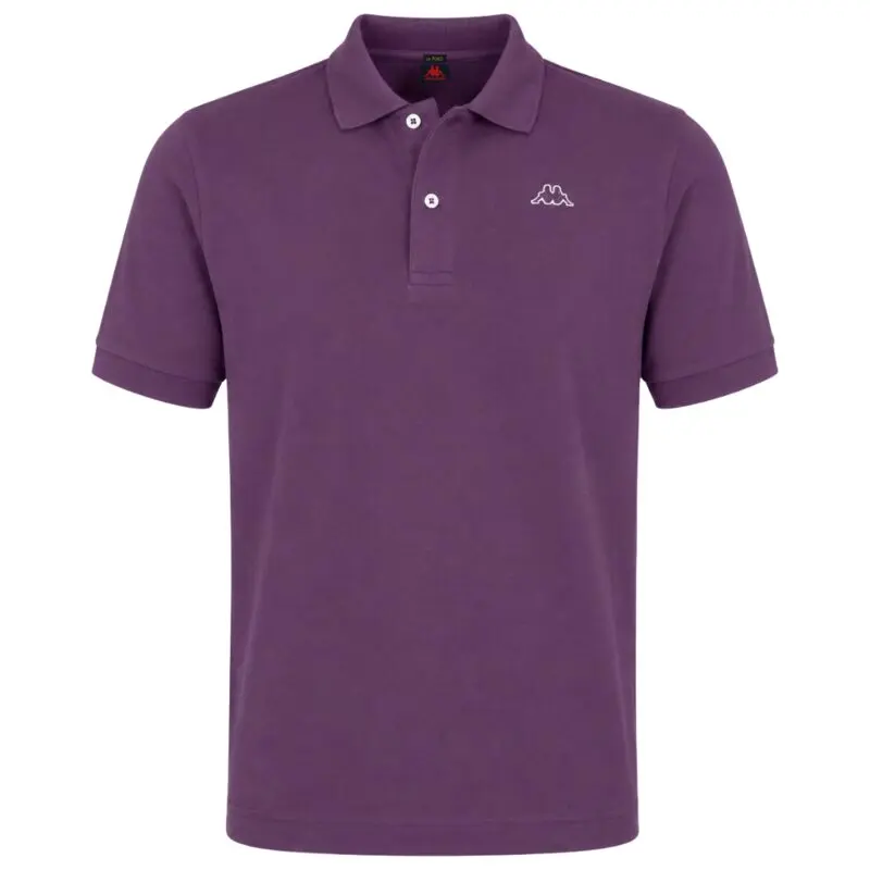 AARAU polo