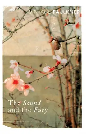 Sound and the Fury - Faulkner, William