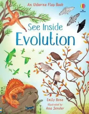 See Inside Evolution - Emily Bone, Ana Sender (ilustrátor)