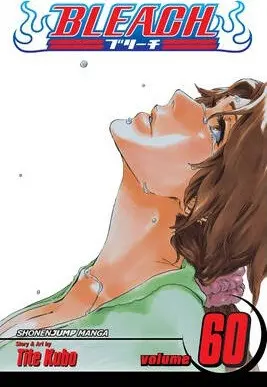 Bleach, Vol. 60 - Kubo, Tite