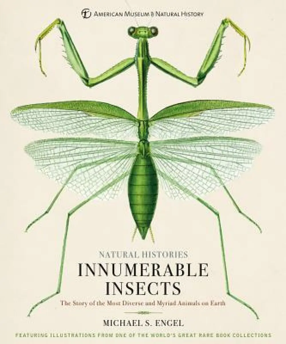 Innumerable Insects - Engel Michael S.