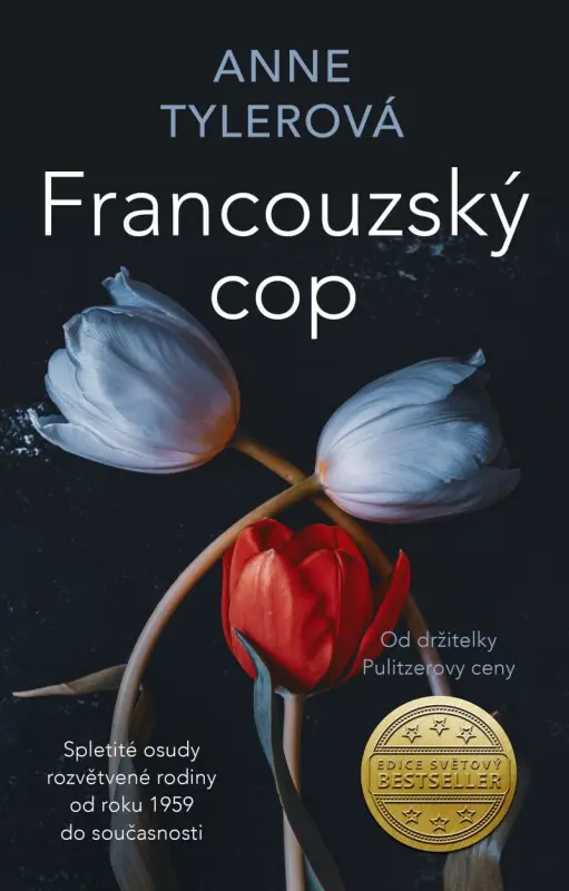 Francouzský cop - Anne Tyler