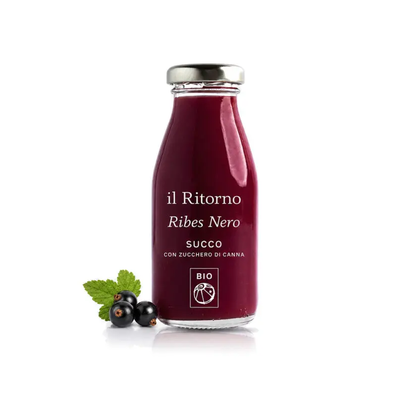 IL RITORNO BIO šťáva černý rybíz 250ml