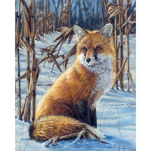 Figured ART Malování podle čísel - LIŠKA VE SNĚHU  na rámu 40 x 50 cm
