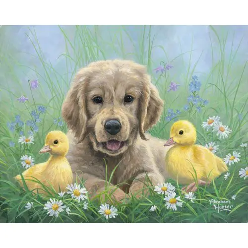 Figured ART Malování podle čísel - LABRADOR A KUŘÁTKA bez rámu 40 x 50 cm