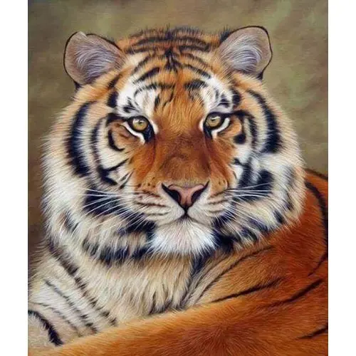 Figured ART Diamantové malování - TYGŘÍ OKO bez rámu 40 x 50 cm
