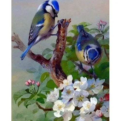Figured ART Diamantové malování - PTÁCI NA VĚTVI na rámu 40 x 50 cm