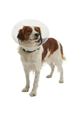 Límec ochranný Buster plastový Clic Collar 20cm