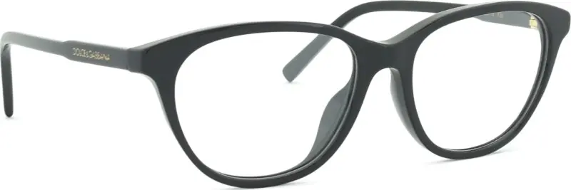 Dolce & Gabbana Kids 0DX3002 501