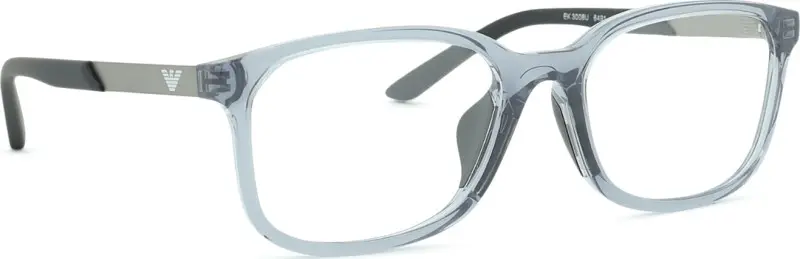 Emporio Armani Kids 0EK3008U 6491