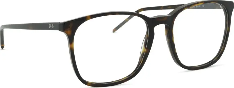 Ray-Ban RX5387 2012
